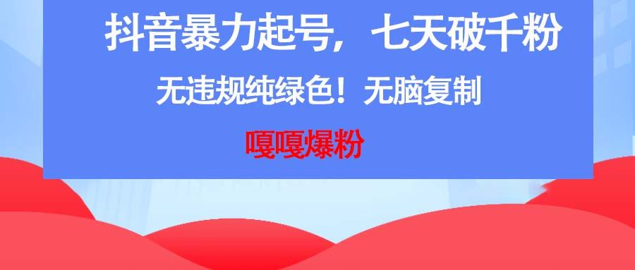 抖音暴力起号，七天破千精准粉，无违规纯绿色无脑复制 编号:29285